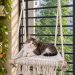 Macrame cat hammock hanging bed 18x16 inch